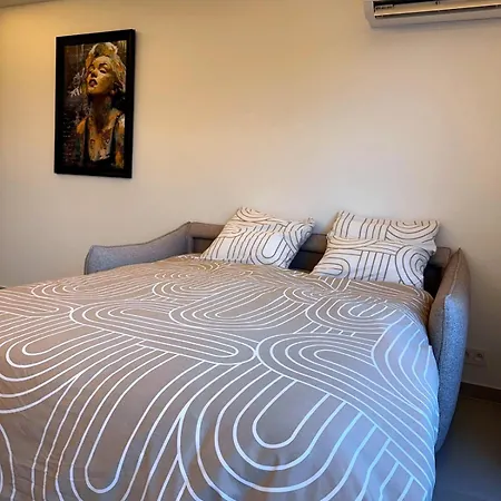 Apartamento Neuf Luxe Plages Croisette Palais Festivals A Pied *